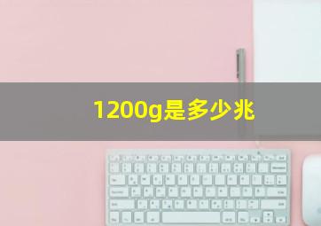 1200g是多少兆