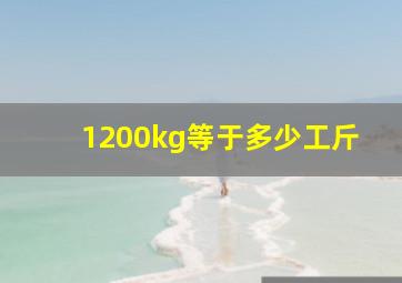 1200kg等于多少工斤