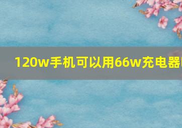 120w手机可以用66w充电器吗