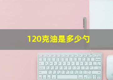 120克油是多少勺