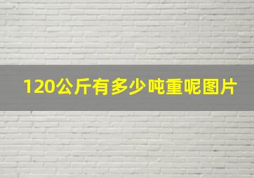 120公斤有多少吨重呢图片