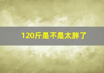 120斤是不是太胖了