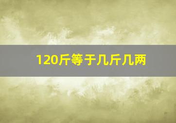 120斤等于几斤几两