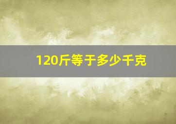 120斤等于多少千克