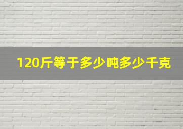 120斤等于多少吨多少千克