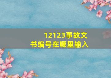 12123事故文书编号在哪里输入