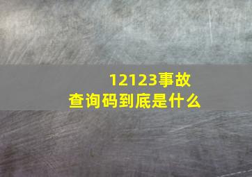 12123事故查询码到底是什么