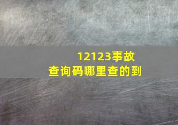 12123事故查询码哪里查的到