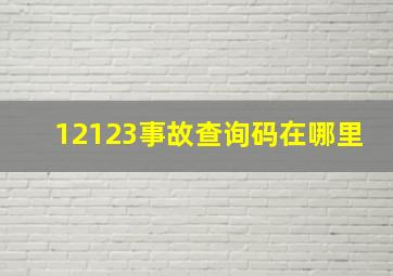 12123事故查询码在哪里