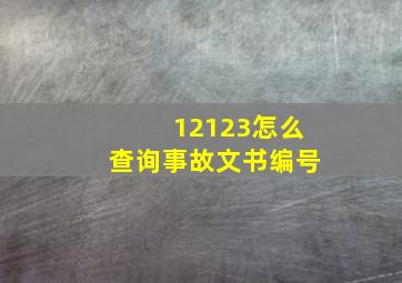 12123怎么查询事故文书编号