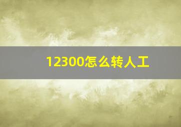 12300怎么转人工