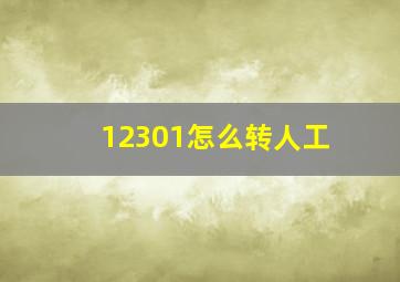 12301怎么转人工