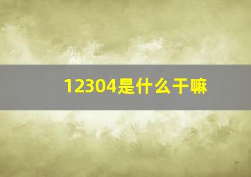 12304是什么干嘛