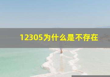 12305为什么是不存在