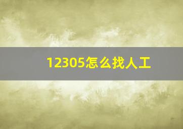 12305怎么找人工