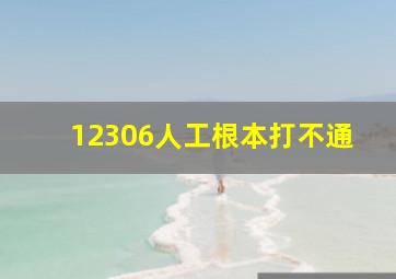 12306人工根本打不通