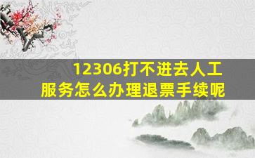 12306打不进去人工服务怎么办理退票手续呢