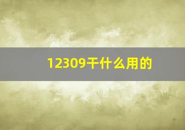 12309干什么用的