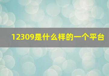 12309是什么样的一个平台