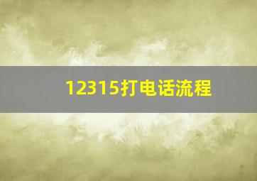 12315打电话流程