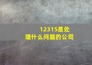 12315是处理什么问题的公司