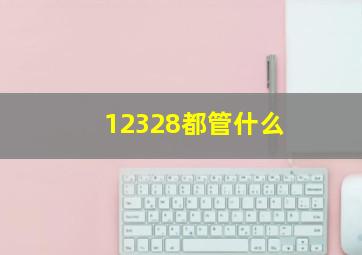 12328都管什么