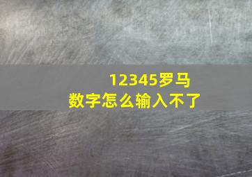 12345罗马数字怎么输入不了