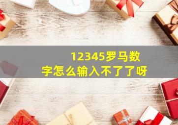 12345罗马数字怎么输入不了了呀