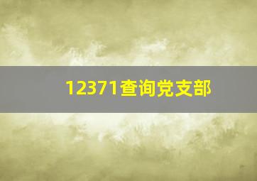 12371查询党支部