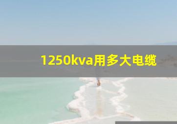 1250kva用多大电缆