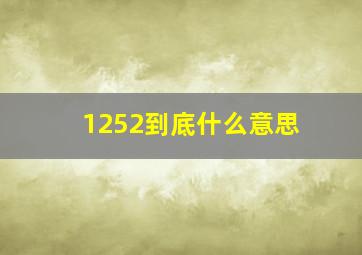 1252到底什么意思