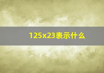 125x23表示什么