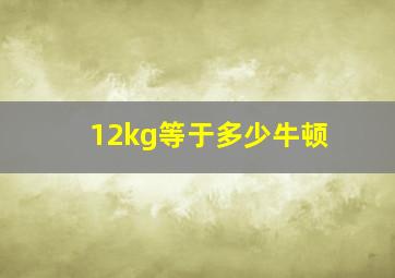 12kg等于多少牛顿