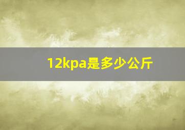 12kpa是多少公斤