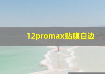 12promax贴膜白边