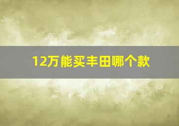 12万能买丰田哪个款