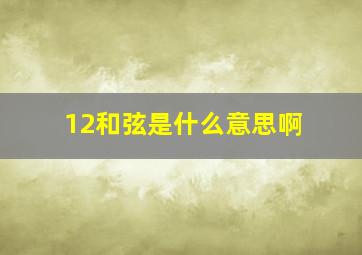 12和弦是什么意思啊