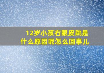 12岁小孩右眼皮跳是什么原因呢怎么回事儿