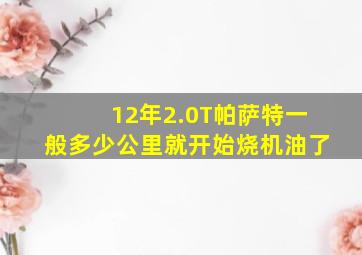 12年2.0T帕萨特一般多少公里就开始烧机油了