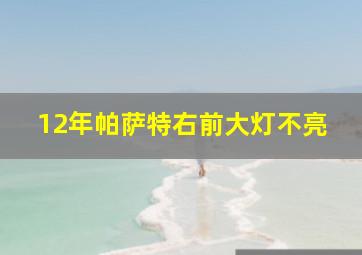 12年帕萨特右前大灯不亮