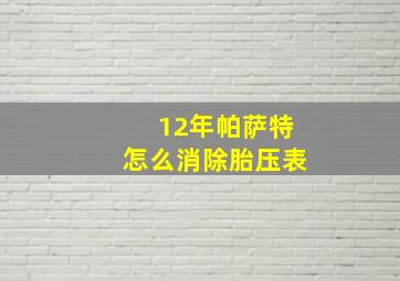 12年帕萨特怎么消除胎压表