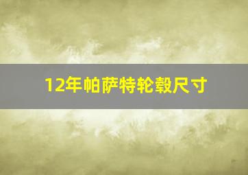 12年帕萨特轮毂尺寸