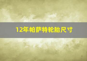 12年帕萨特轮胎尺寸