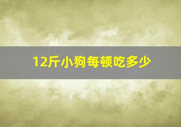 12斤小狗每顿吃多少