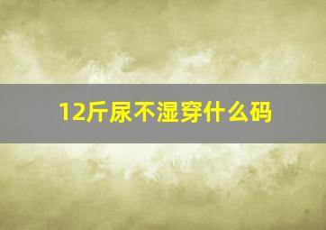 12斤尿不湿穿什么码