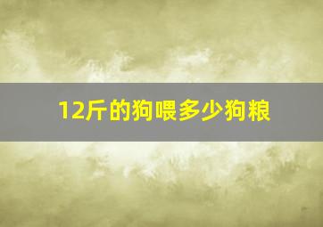 12斤的狗喂多少狗粮