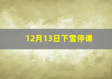 12月13日下雪停课