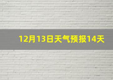 12月13日天气预报14天