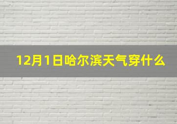 12月1日哈尔滨天气穿什么