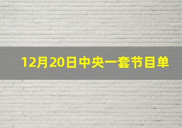 12月20日中央一套节目单